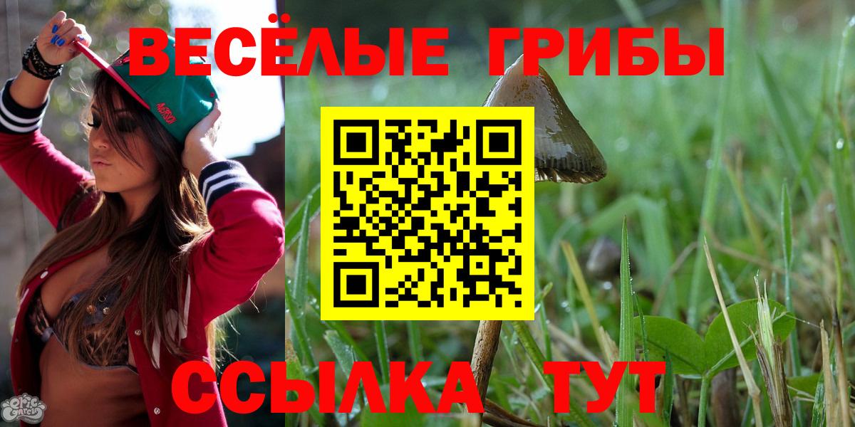 Псилоцибиновые грибы Cubensis Элиста
