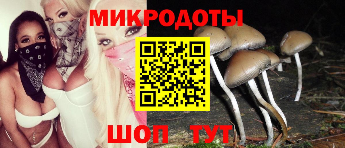 Элиста  Галлюциногенные грибы Cubensis  Вход с VPN  Галлюциногенные грибы Magic Shrooms 
